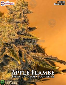 Cannarado Genetics - Apple Flambe {FEM} [6pk]cannarado-genetics-apple-flambe-fem