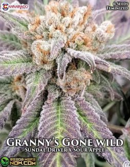 Cannarado Genetics - Granny's Gone Wild {FEM} [6pk]cannarado-genetics-grannys-gone-wild-fem