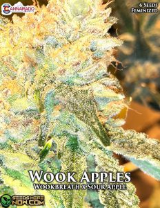 Wook Apples (Feminized) - Cannarado Genetics