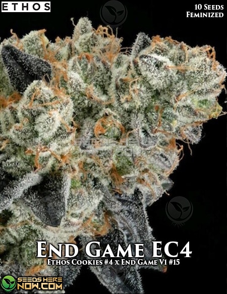 End Game Cookies Strain