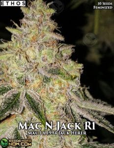 Mac N Jack R1 (feminized) - Ethos Genetics