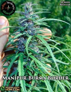 Manipur - Burma Border - Indian Landrace Exchange
