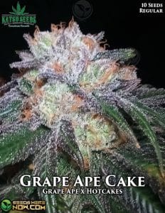 Grape Ape Cake (regular) - Katsu Seeds