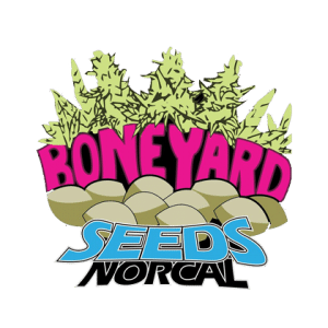 Logo-boneyard-seeds-norcal