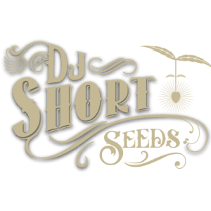 Dj Short Seeds
