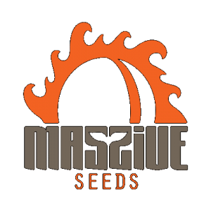 Logo-massive-seeds