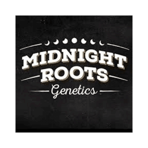 Logo-midnight-roots-genetics