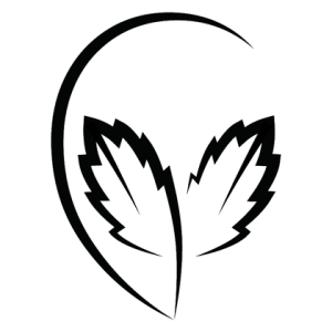 Logo-obsoul33t-genetics