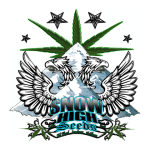 Logo-snow-high-seeds
