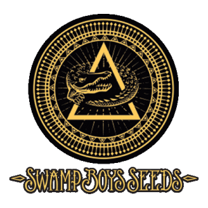 Swamp Boys Seeds