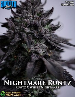 Sin City Seeds - Nightmare Runtz {FEM} [7pk]sin-city-seeds-nightmare-runtz-fem
