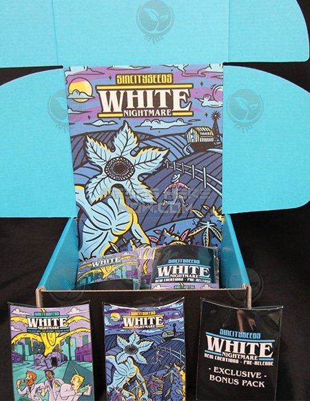 - Sin City Seeds - White Nightmare Regular Seed Box Set