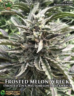 Automatically Delicious - Frosted Melon Wreck {AUTOFEM} [5pk] RETIREDAutomatically-delicious-frosted-melon-wreck