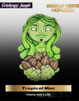 Tropical Mac (Regular) (space) Trichome Jungle