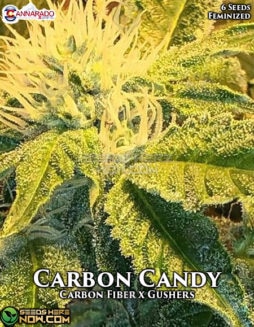 Cannarado Genetics - Carbon Candy {FEM} [6pk]cannarado-genetics-carbon-candy-fem