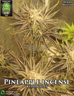 Trichome Jungle - Pineapple Incense {REG} [10pk]trichome-jungle-pineapple-incense