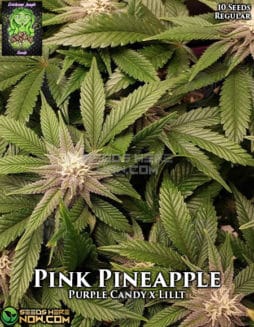 Trichome Jungle - Pink Pineapple {REG} [10pk]trichome-jungle-pink-pineapple
