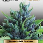 Humboldt Dream (Feminized) - Humboldt Seed Company