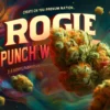 Rogue Punch Wreck (regular) - Massive Seeds