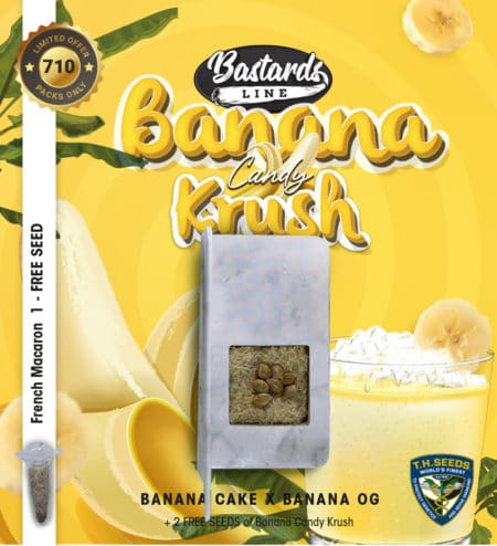 T.h.seeds-Banana-Candy-Krush-Card-Seed-Pack