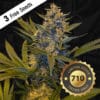 Melonsicle bonus pack (feminized) - t. H. Seeds