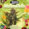 Melonsicle bonus pack (feminized) - t. H. Seeds