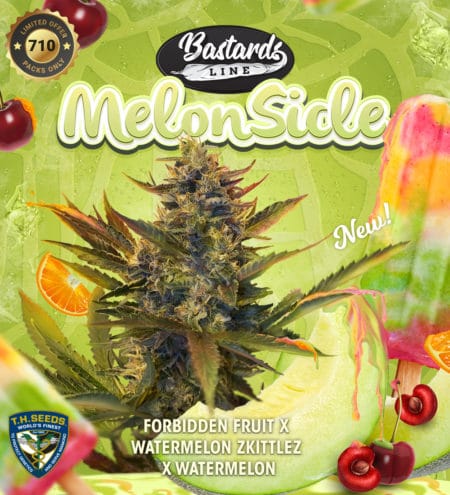 T.h.seeds-Melonsicle-Promo