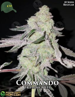 Capulator - Commando {REG} [10pk]capulator-commando
