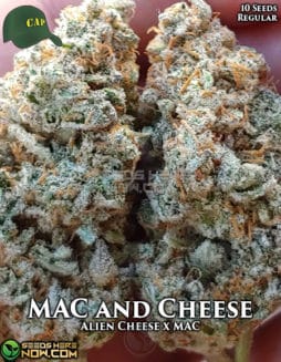 Capulator - MAC and Cheese {REG} [10pk]capulator-mac-and-cheese