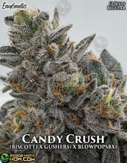 Envy Genetics - Candy Crush  {REG} [12pk]envy-genetics-candy-crush
