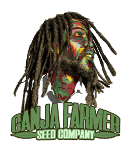 Ganja-farmer-transparency