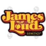 Offendo (Feminized) - James Loud Genetics