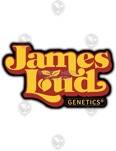 - James Loud Genetics - Alien Og Sour {Reg} [5Pk]