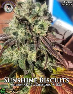 Lucky Dog Seed Company - Sunshine Biscuits {REG} [13pk]Lucky-dog-sunshine-biscuits