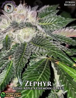 Lucky Dog Seed Company - Zephyr {REG} [13pk]lucky-dog-zephyr