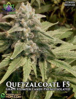 omuerta-genetix-quetzalcoatl-f5