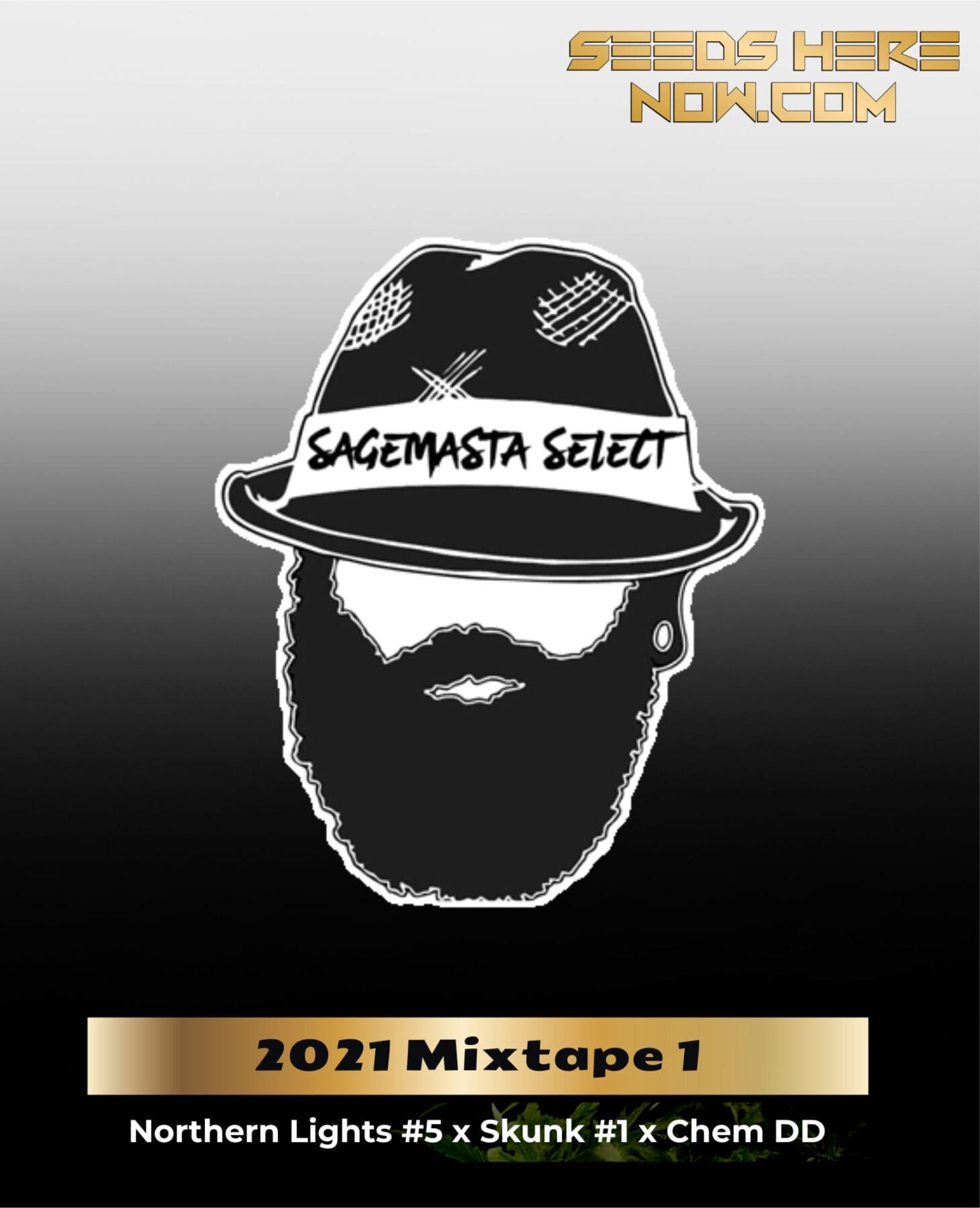 2021 Mixtape 1 (Regular) - S.A.G.E.masta Select
