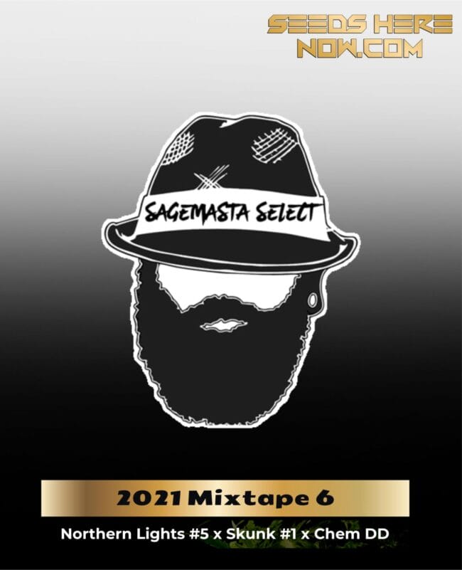 2021 Mixtape 6 (Regular) - S.A.G.E.masta Select