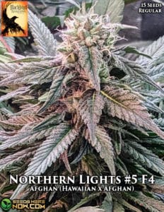 Northern Lights #5 F4 (Regular) - Blackbird Preservations