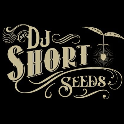 Meet Seeds Here Now’s DJ and JD Short