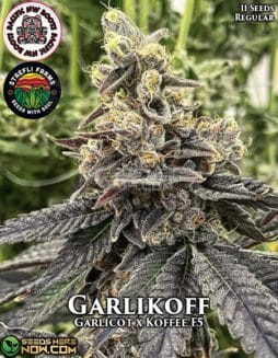 Pacific Northwest Roots - Garlikoff {REG} [11pk]Garlikoff