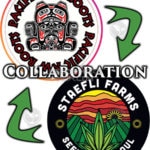 Morning Medz (Regular) - Pacific Northwest Roots