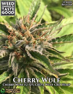 Weed Should Taste Good - Cherry Wulf {REG} [12pk]Wstg-cherry-wulf