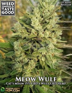 Meow Wulf (regular) - Weed Should Taste Good