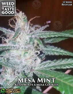 Weed Should Taste Good - Mesa Mint {REG} [12pk]wstg-mesa-mint