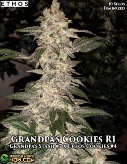 Ethos Genetics - Grandpa's Cookies R1 {FEM} [10pk]ethos-genetics-grandpas-cookies-r1