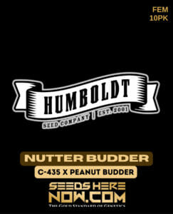 Nutter Budder (feminized) - Humboldt Seed Company