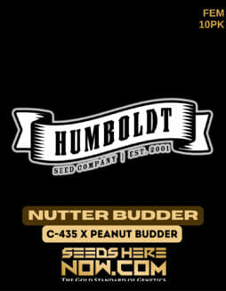Humboldt Seed Company - Nutter Budder {FEM} [10pk]Humboldt Nutter Budder