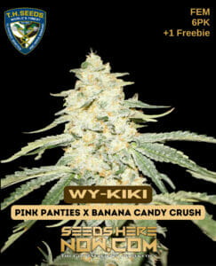 Wy-kiki Bonus Pack (feminized) - T.h. Seeds