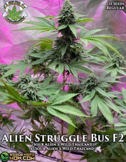 Eazy Daze Cultivators - Alien Struggle Bus F2 {REG} [11pk]eazy-daze-alien-struggle-bus-f2-11